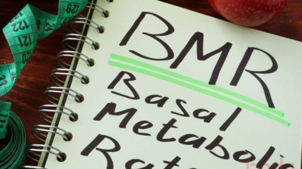 Trước khi đếm calo, bạn cần biết BMR của mình