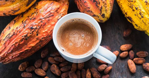 Khơ Thị sẽ hướng dẫn 4 cách giảm cân bằng cacao dễ dàng và hiệu quả