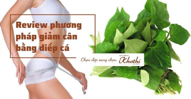 Rau diếp cá giúp giảm cân như thế nào?
