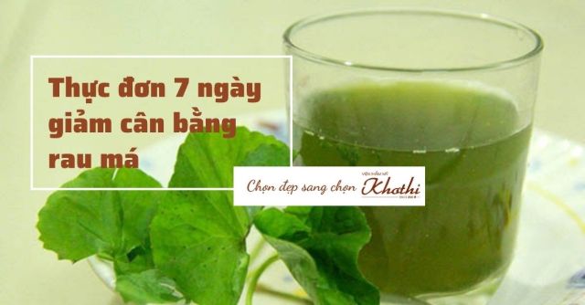 Rau má có chứa vitamin gì giúp giảm căng thẳng?
